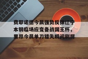 费耶诺德今晨强势反弹辽宁本钢临场应变备战国王杯，里昂今晨单刀错失瞬间刷屏的简单介绍